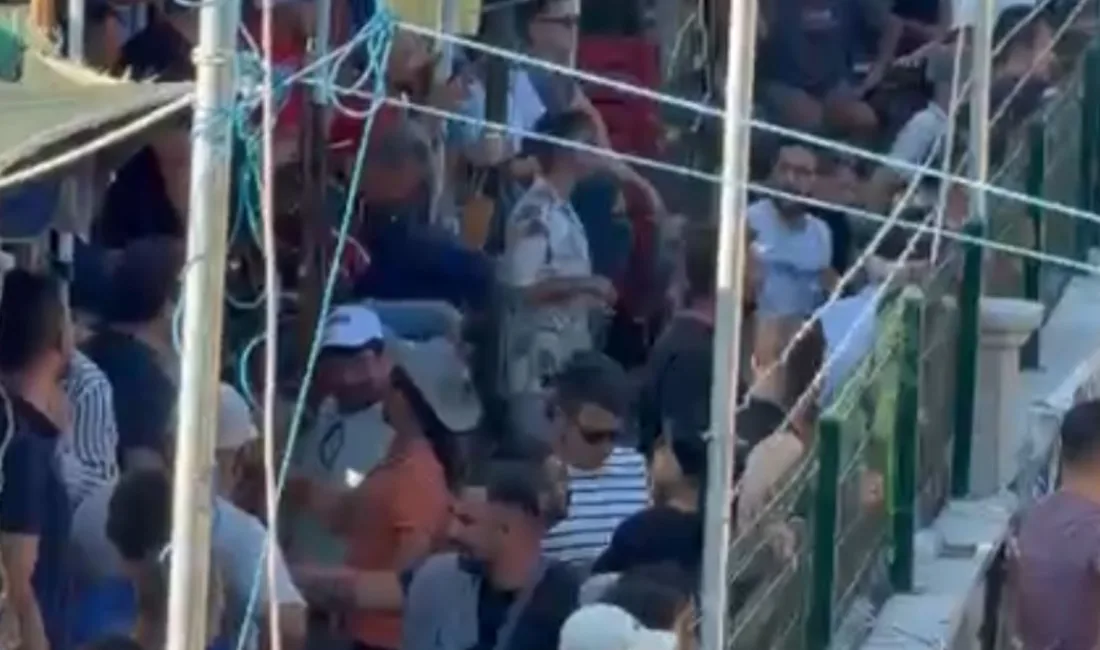 Muğla’nın Menteşe ilçesinde 30’uncusu düzenlenen Geleneksel Boğa Güreşleri’nde, sahaya giriş