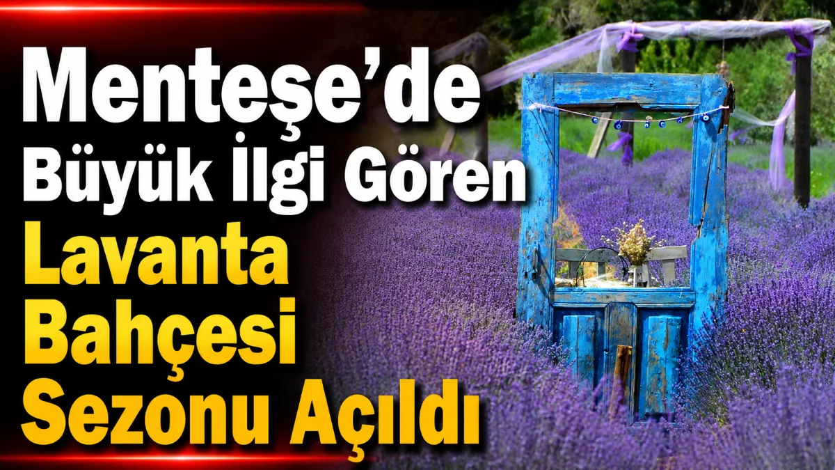 Menteşe ilçesinde görsel bir şölene ev sahipliği yapan Mor Bahçe