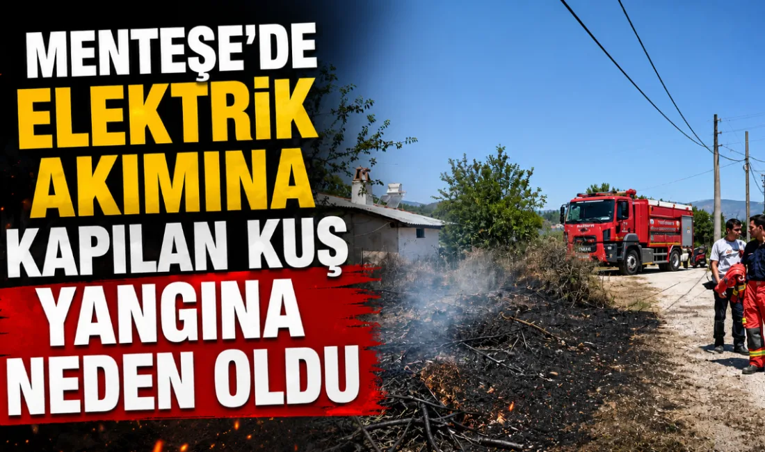 Muğla'nın Menteşe ve Ula ilçelerinde çıkan arazi yangınları, orman ve