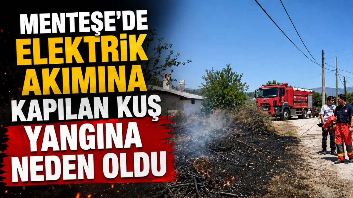 Muğla'nın Menteşe ve Ula ilçelerinde çıkan arazi yangınları, orman ve