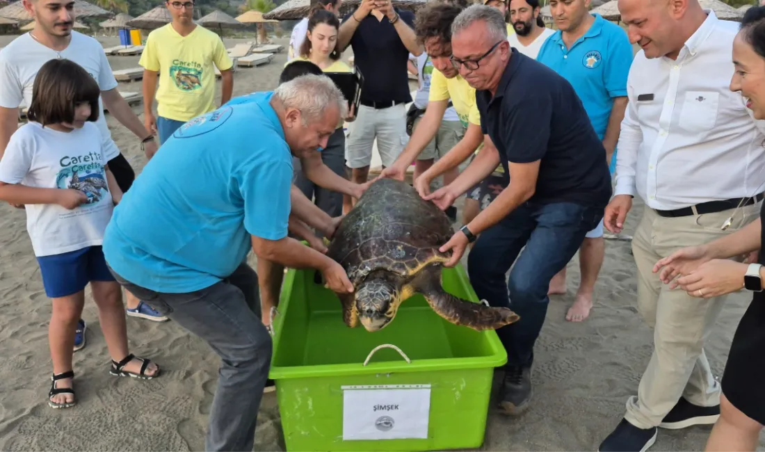 Muğla'nın Ortaca ilçesinde ağzına olta iğnesi batmış halde bulunan ve