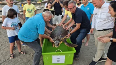 Muğla'nın Ortaca ilçesinde ağzına olta iğnesi batmış halde bulunan ve