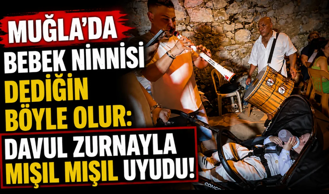 Muğla’da bir düğünde davul ve zurnanın eşliğinde mışıl mışıl uyuyan