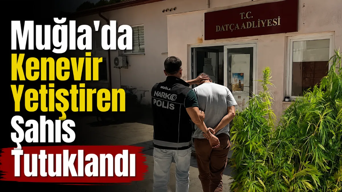 Muğla’nın Datça ilçesinde uyuşturucuyla mücadele kapsamında düzenlenen operasyonda, evinde ve