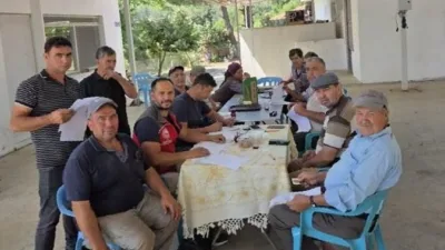 Muğla İl Tarım ve Orman Müdürlüğü ekipleri tarafından geleneksel hale