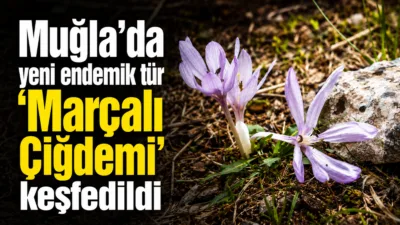 Muğla’nın Menteşe ilçesindeki Marçalı Dağı’nda yürütülen bilimsel araştırmalar sonucunda dünyada