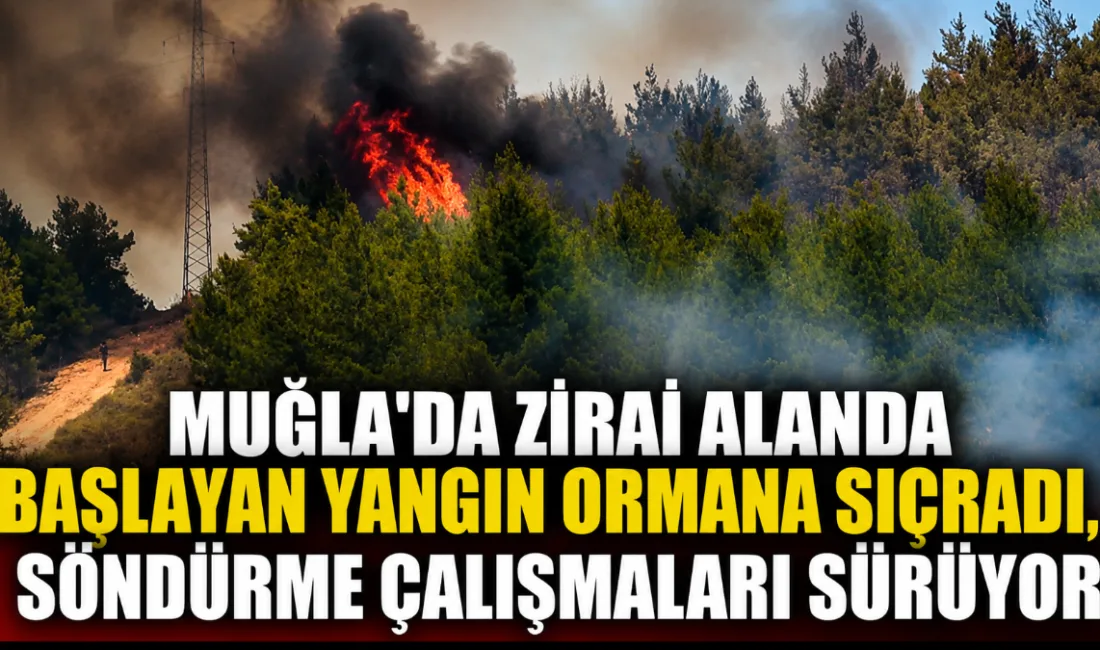 Muğla’nın Seydikemer ilçesine bağlı Gölbent Mahallesi yakınlarındaki zirai alanda başlayarak