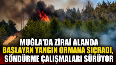 Muğla’nın Seydikemer ilçesine bağlı Gölbent Mahallesi yakınlarındaki zirai alanda başlayarak