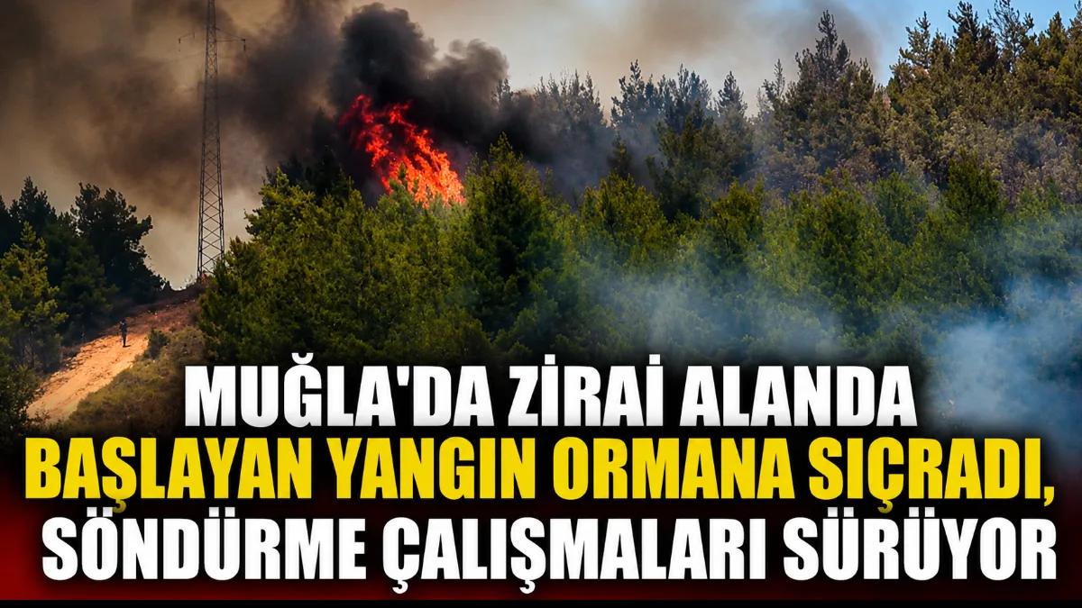 Muğla’nın Seydikemer ilçesine bağlı Gölbent Mahallesi yakınlarındaki zirai alanda başlayarak