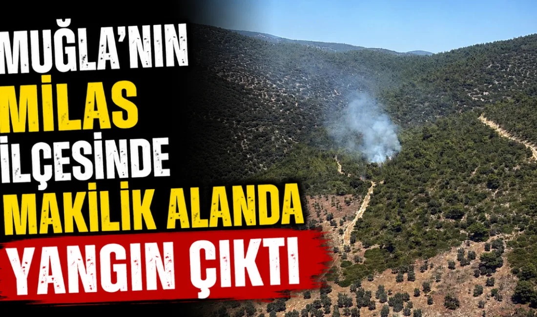 Muğla’nın Milas ilçesindeki Kazıklı Koyu’nda çıkan makilik yangınına rüzgârın zorlaştırıcı