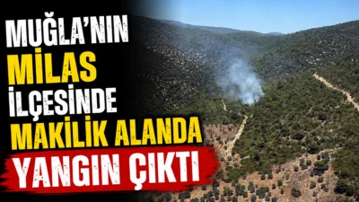 Muğla’nın Milas ilçesindeki Kazıklı Koyu’nda çıkan makilik yangınına rüzgârın zorlaştırıcı