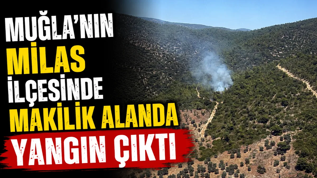 Muğla’nın Milas ilçesindeki Kazıklı Koyu’nda çıkan makilik yangınına rüzgârın zorlaştırıcı