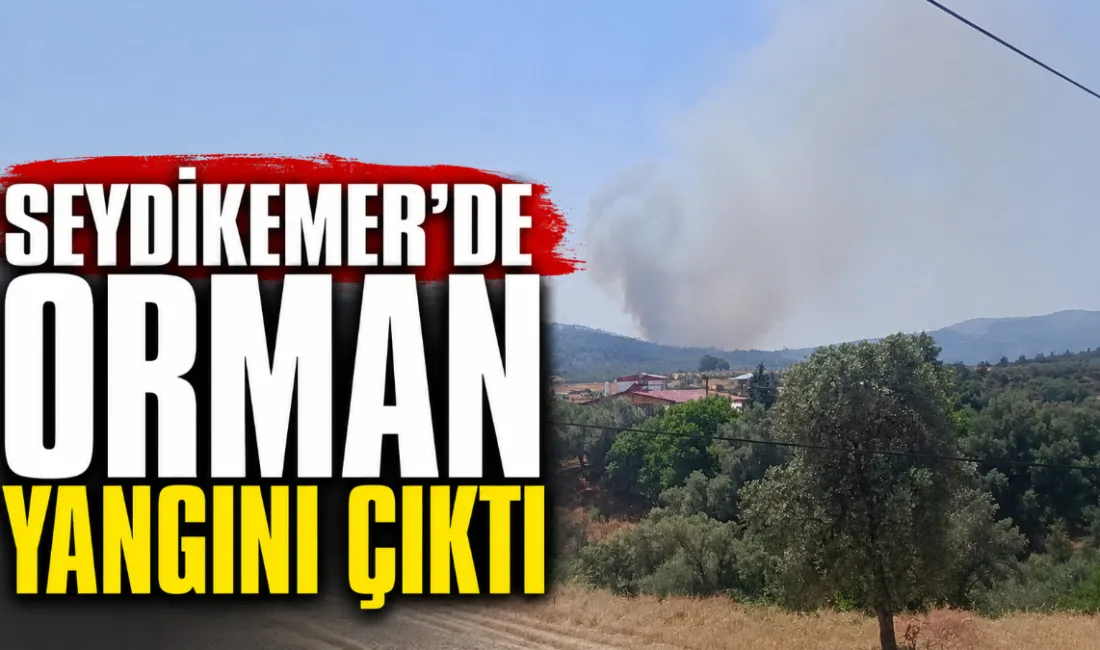 Muğla’nın Seydikemer ilçesinde çıkan orman yangınına ekipler seferber oldu. 6