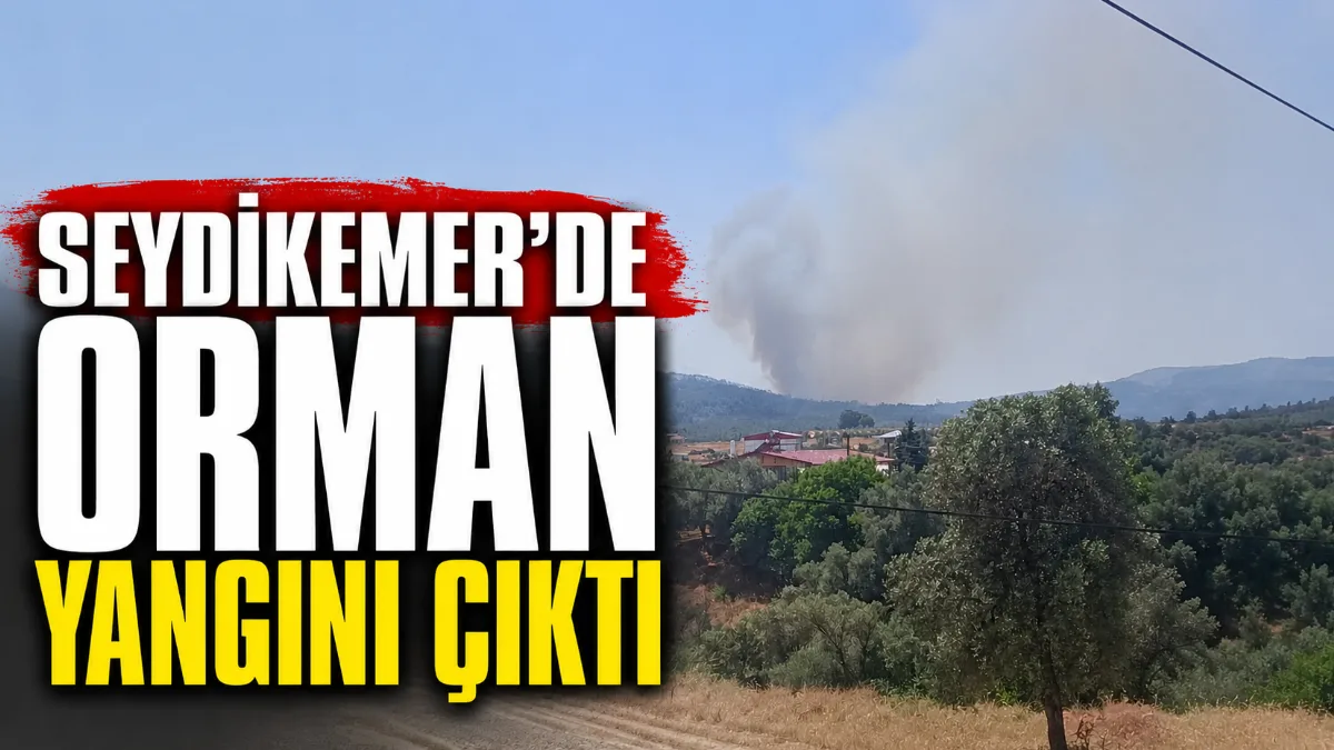 Muğla’nın Seydikemer ilçesinde çıkan orman yangınına ekipler seferber oldu. 6