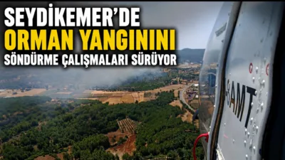 Muğla’nın Seydikemer ilçesine bağlı Gölbent Mahallesi yakınlarındaki zirai alanda başlayarak