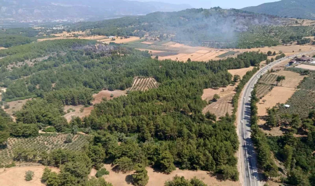 Muğla’nın Seydikemer ilçesine bağlı Gölbent Mahallesi yakınlarında zirai alanda başlayıp