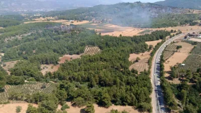 Muğla’nın Seydikemer ilçesine bağlı Gölbent Mahallesi yakınlarında zirai alanda başlayıp