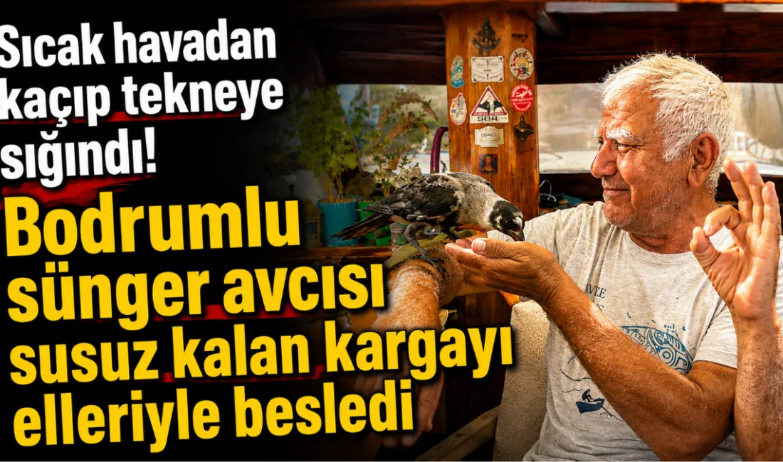 Muğla'nın Bodrum ilçesinde aşırı sıcaklardan etkilenerek limandaki tekneye sığınan bitkin
