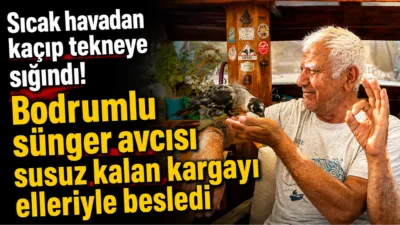Muğla'nın Bodrum ilçesinde aşırı sıcaklardan etkilenerek limandaki tekneye sığınan bitkin