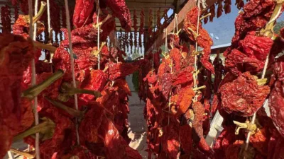 Denizli’nin Kale ilçesinde kendine has aromasıyla yetiştirilen coğrafi işaret tescilli
