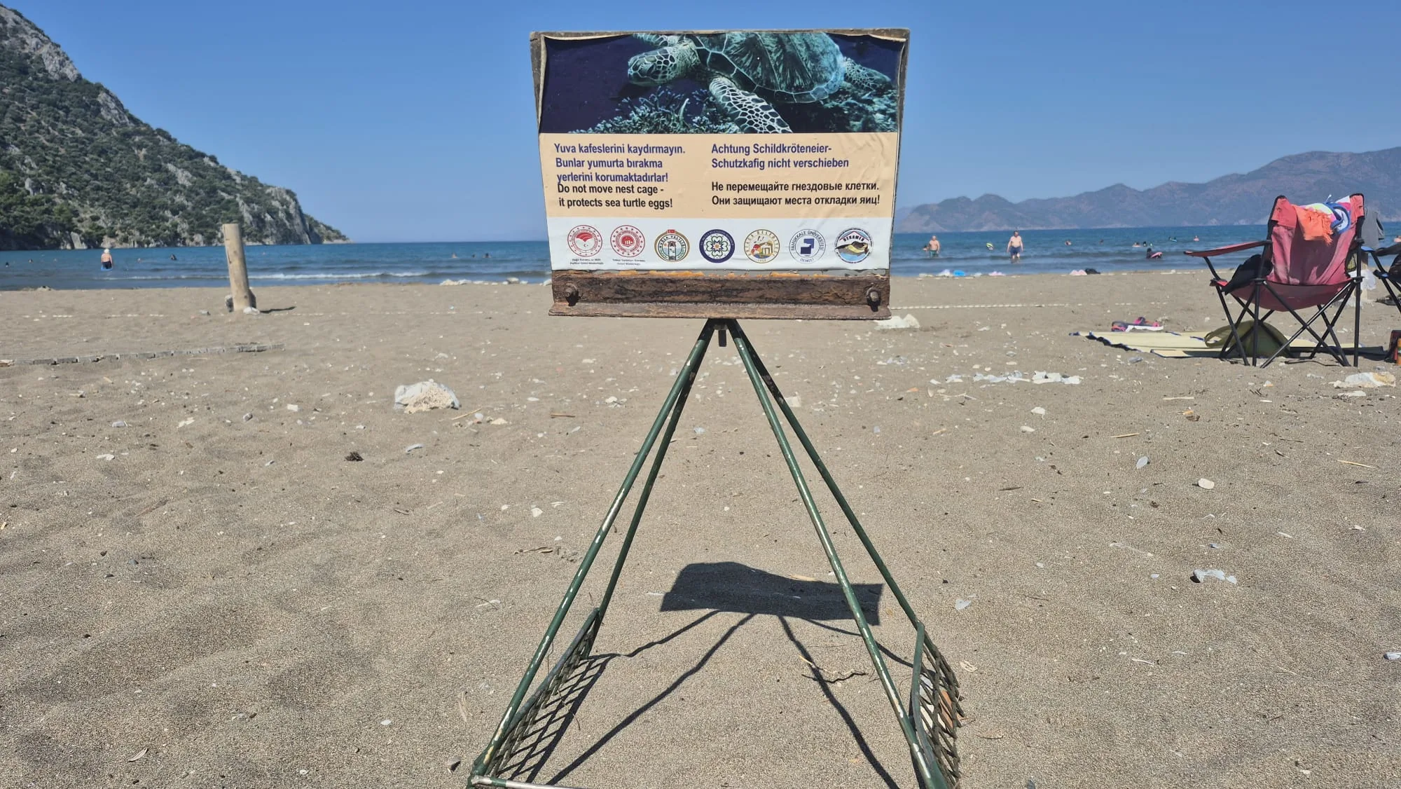 İztuzu’nda Büyük Heyecan: Sezonun İlk Caretta Caretta Yavruları Denize Ulaştı