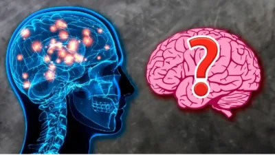 Avustralya'da yapılan yeni bir araştırmaya göre insan zihninin genel bilişsel