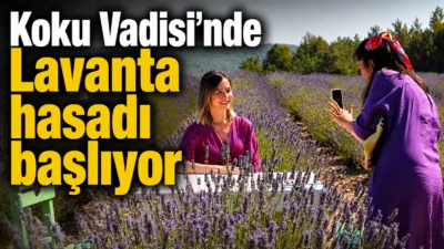 Muğla Büyükşehir Belediyesi'nin Yerkesik Yeniköy'de yürüttüğü Koku Vadisi Projesi, distilasyon