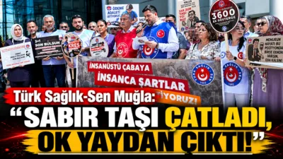 Türk Sağlık-Sen Muğla Şube Başkanı Mehmet Ataş, Muğla Eğitim ve